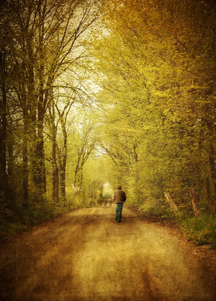 Homem caminhando em uma estrada rural solitária — Fotografia de Stock