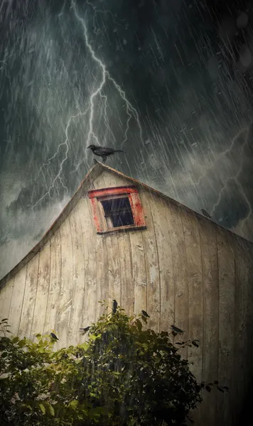 Gruselige alte Scheune mit Krähen in stürmischer Nacht — Stockfoto