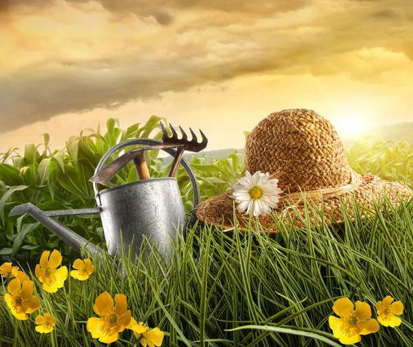 Lata de água e chapéu de palha que coloca no campo de milho — Fotografia de Stock