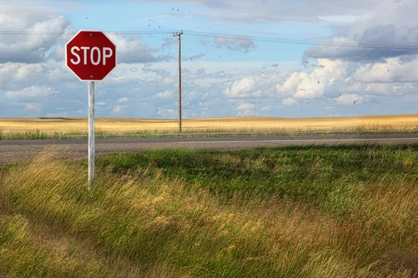 Rural stop sign on the prairies — Stock Photo, Image