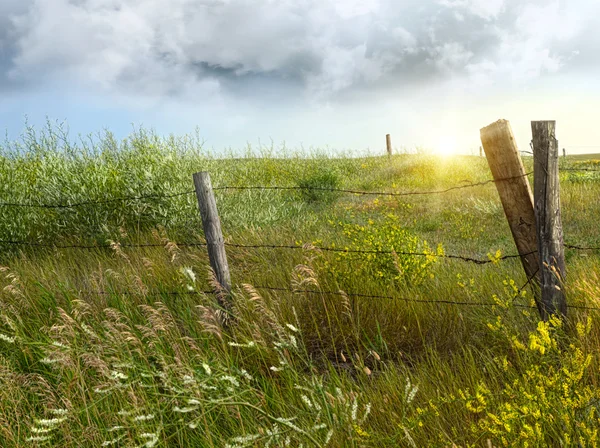 Old country fence on the prairies — Stock Photo, Image