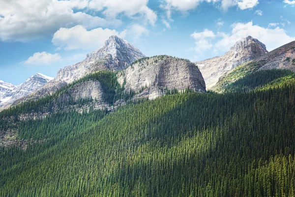 Weergave van de rocky mountains in alberta — Stockfoto