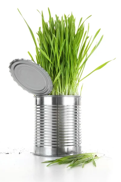 Nahaufnahme von Weizengras in einer Aluminiumdose auf weiß — Stockfoto