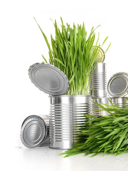 Wheatgrass in aluminum cans on white — Stock Photo, Image