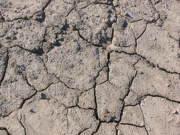 stock image Dry broken soil.