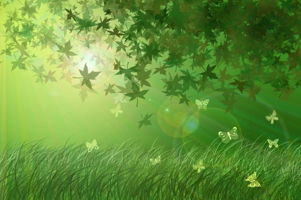 stock image Green summer forest