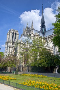 Notre dame de Paris