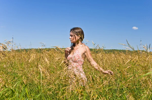 Ung kvinna i ett fält av råg — Stockfoto