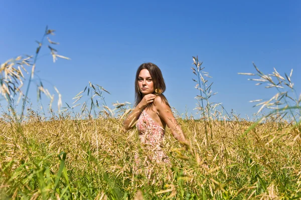 Молодая женщина в поле ржи — стоковое фото