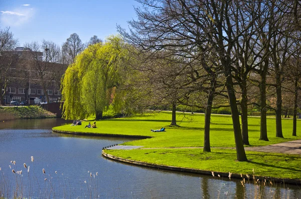 stock image Green lawn on the canal bank