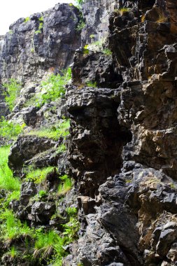 rocas con hierba y árboles