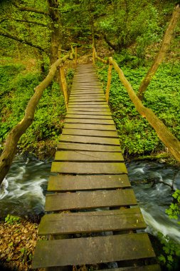 Wooden bridge over a mountain stream in the woods clipart