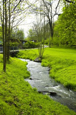 Mountain stream running into the woods clipart