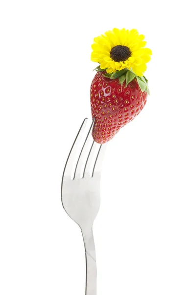 Strawberry with a flower on a fork isolated on white — Stock Photo, Image