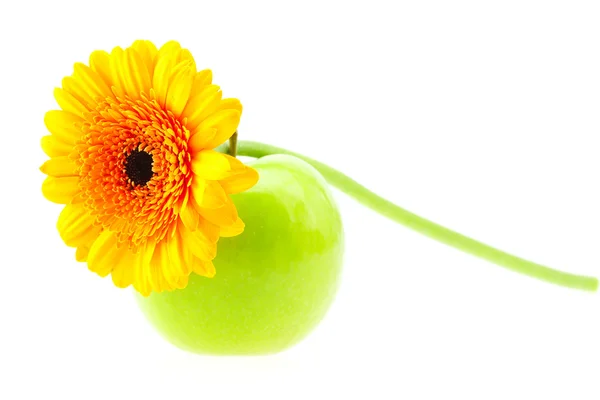 Квітка і яблуко ізольовані на білому — стокове фото
