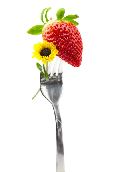 Strawberry and flower on a fork isolated on white — Stock Photo, Image