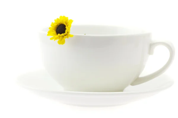 Белая чашка и цветок, изолированный на белом — стоковое фото