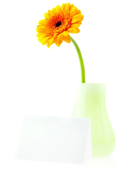 Card and a flower in a vase isolated on white — Stock Photo, Image