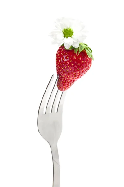 Strawberry and flower on a fork isolated on white — Stock Photo, Image