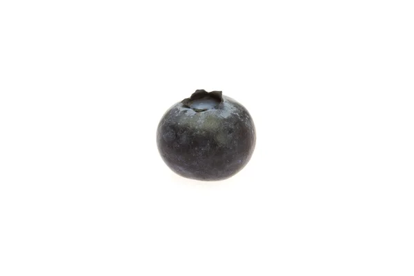 Bilberry üzerinde beyaz izole — Stok fotoğraf