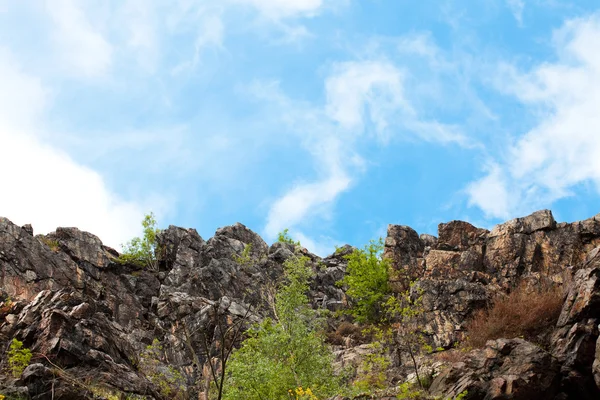 Скалы с травой и деревья против неба — стоковое фото
