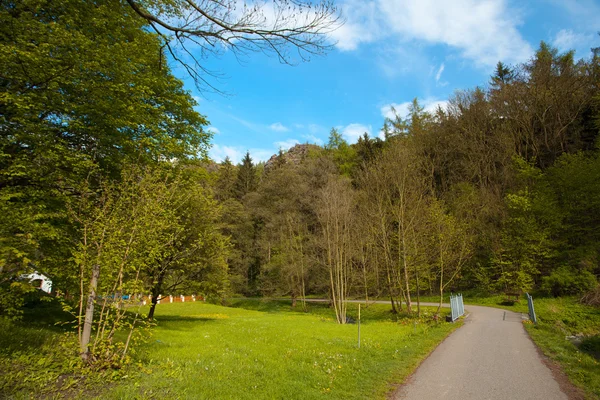 Дорога в парк с горами и деревьями — стоковое фото