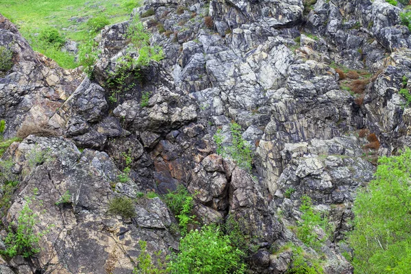 Скалы с мхом и деревьями — стоковое фото