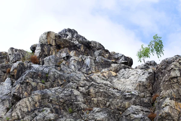 Bétula nas rochas contra o céu — Fotografia de Stock