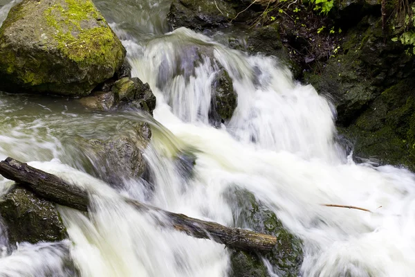 Wasser läuft in einem Gebirgsbach — Stockfoto