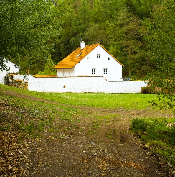 Красивый дом в зеленом лесу — стоковое фото