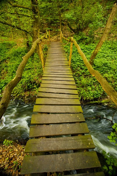 Деревянный мост через горный ручей в лесу — стоковое фото