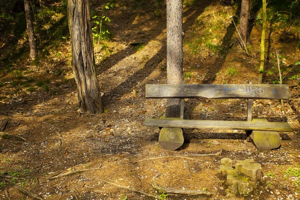 Lone houten bank in het bos — Stockfoto