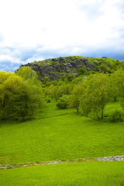 stock image Rock with green against the blue sky with clouds