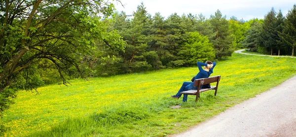 タンポポのフィールド上のベンチで休んで男性 — ストック写真