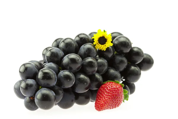 Tros druiven met een bloem en aardbeien op witte geïsoleerd — Stockfoto
