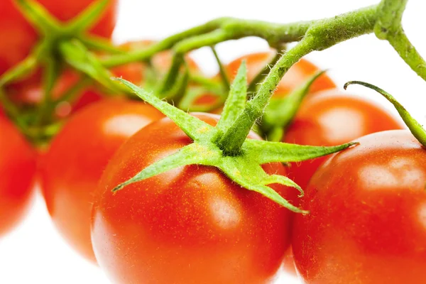 Um monte de tomates isolados em branco — Fotografia de Stock