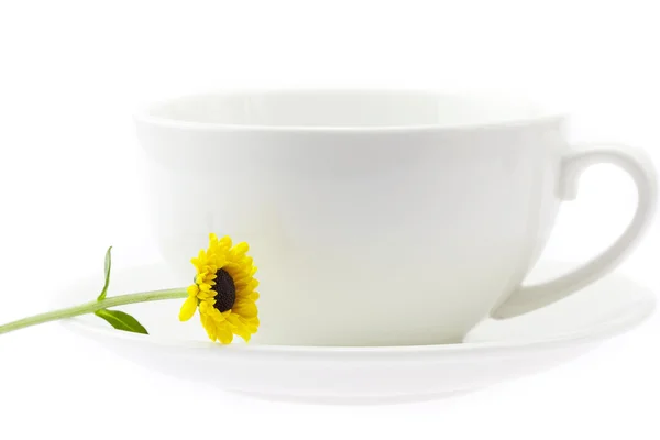 Cup and flower isolated on white — Stock Photo, Image