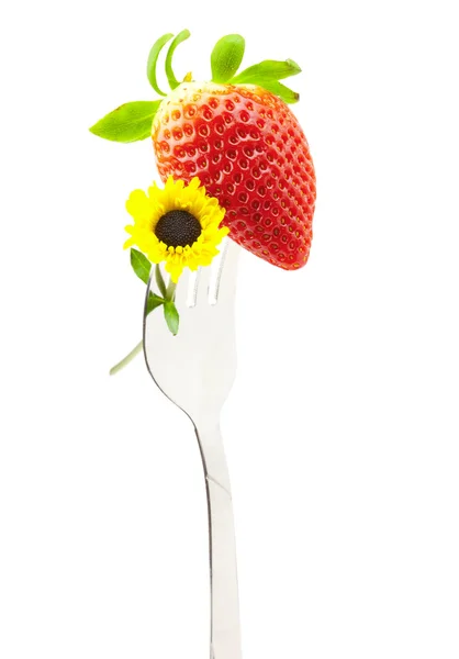 Morango e flor em um garfo isolado em branco — Fotografia de Stock