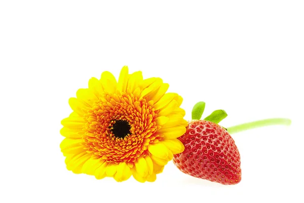 Jahody a květina izolovaných na bílém — Stock fotografie