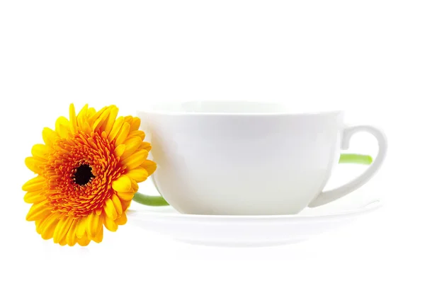 stock image White cup and a flower isolated on white