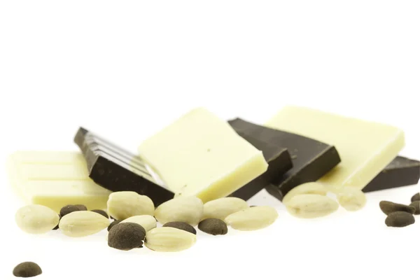 Piastrelle di cioccolato fondente e bianco isolato su bianco — Foto Stock