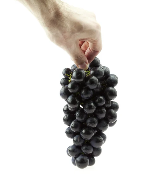 Tros druiven in hand geïsoleerd op wit — Stockfoto