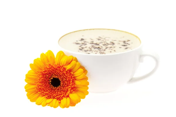 Eine Tasse Cappuccino mit Blume isoliert auf weiß — Stockfoto
