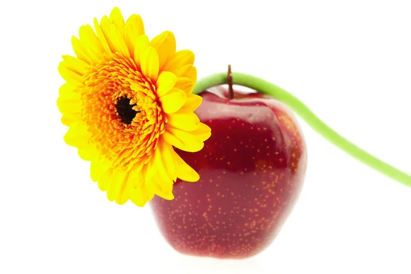 Яблуко і квітка ізольовані на білому — стокове фото
