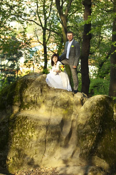 Acaba de casarse en la naturaleza — Foto de Stock