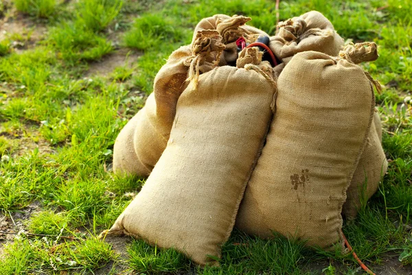 stock image Sandbags lying on green grass