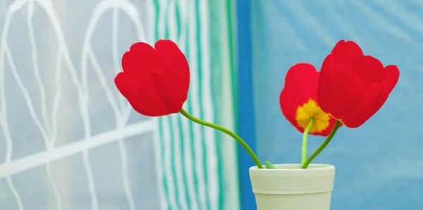 Red tulips in a vase — Stock Photo, Image