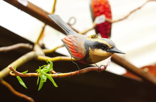 Geting som sitter på en keramisk fågel — Stockfoto