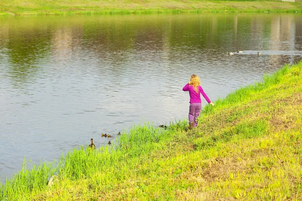 여자 ducklings 오리를 보고 — 스톡 사진