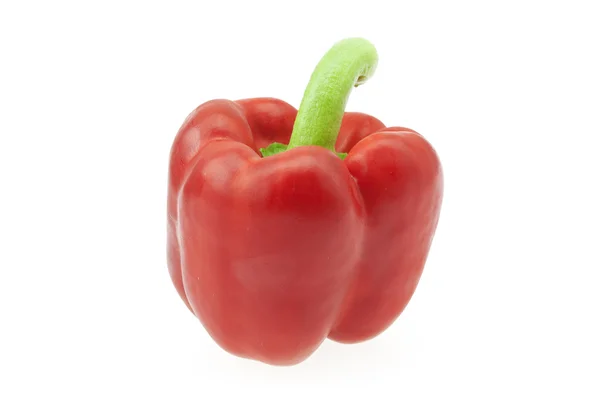 Red pepper isolated on white — Stock Photo, Image